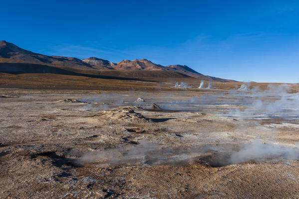 El Tatio Geysers, Atacama Desert, Chile.