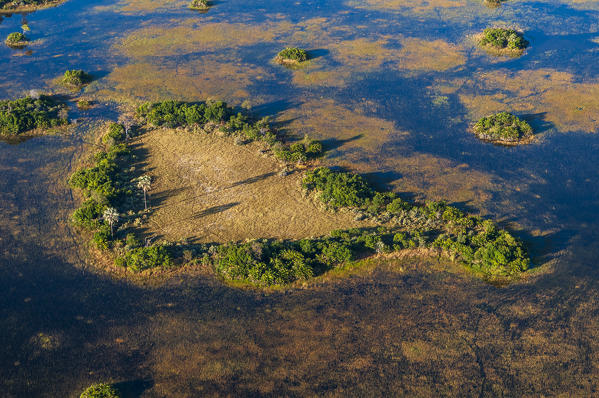 Aerial view of Okavango Delta, Botswana.
