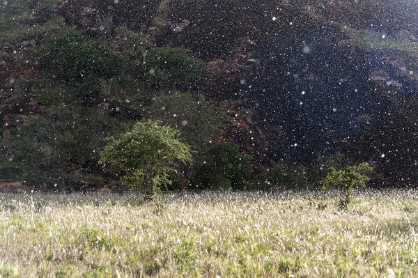 A rainfall hits the Lion Rock in Lualenyi, Tsavo, Kenya.