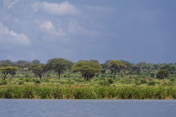 The shore of Lake Gipe, Tsavo, Kenya.
