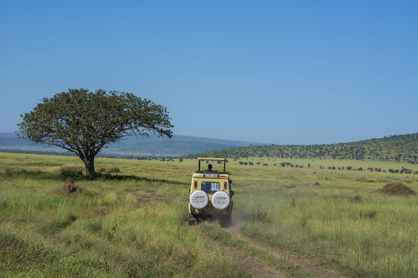 Safari vehicle, Seronera, Serengeti National Park, Tanzania.