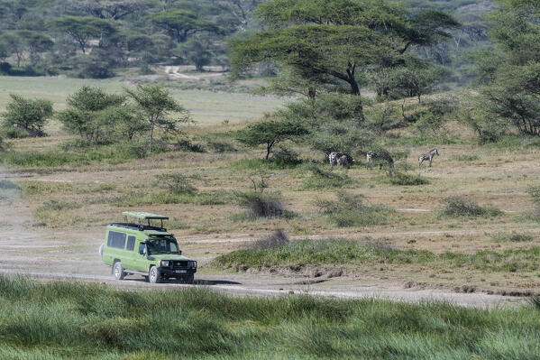Safari vehicle, Ndutu, Ngorongoro Conservation Area, Serengeti, Tanzania.