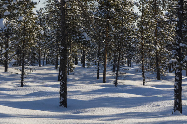 Jukkasjarvi, Sweden.
