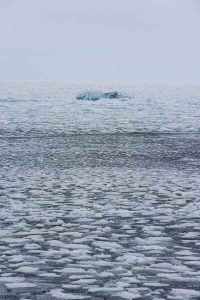 Polar Ice Cap, 81north of Spitsbergen, Norway.