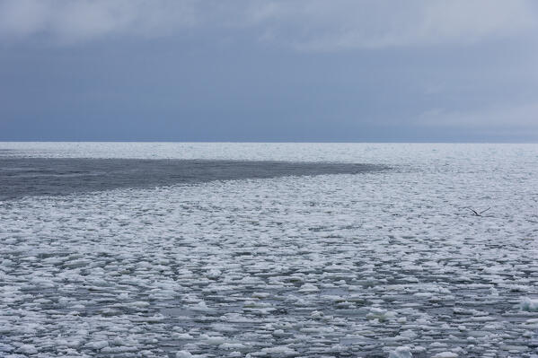 Polar Ice Cap, 81north of Spitsbergen, Norway.