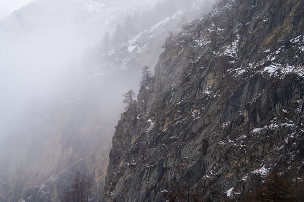 Gran Paradiso National Park, Aosta Valley, Italy.