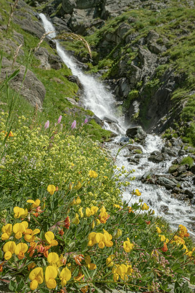 Italy, Graie Alps, Piedmont, Torino, Malciaussia Lake and its falls