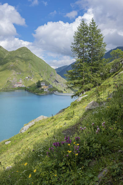 Italy, Graie Alps, Piedmont, Torino, Malciaussia Lake: hiking trails