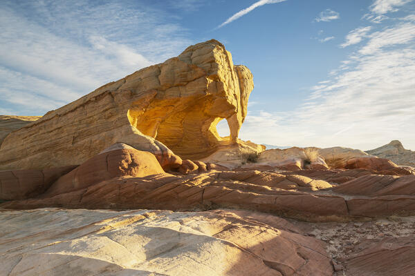 USA, Nevada, Valley of Fire State Park: a snake rock formation in the desert