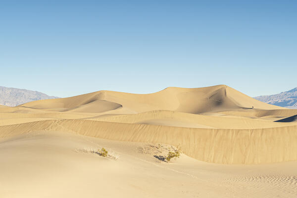 USA, California: first light of the day on the Mesquite Dunes, Death Valley National Park