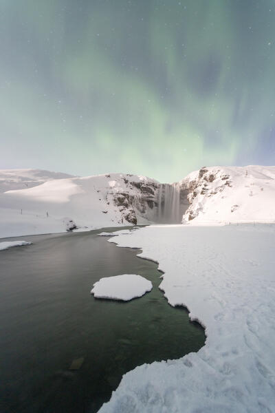 Europe, Iceland: Northern Lights over Skogafoss
