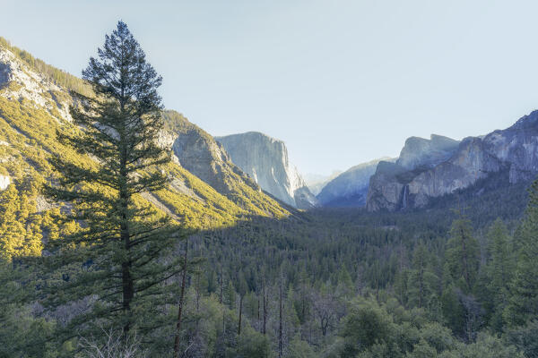 The classical Tunnel View of Yosemite Valley at sunrise; North America, USA, California, Yosemite National Park