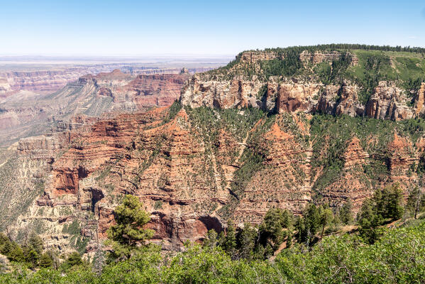 Millions of years in millions of forms; North Rim of the Grand Canyon National Park, Arizona, United States of America