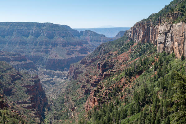 One of the hundred gorges of the Grand Canyon from the North Rim; Arizona, United States of America