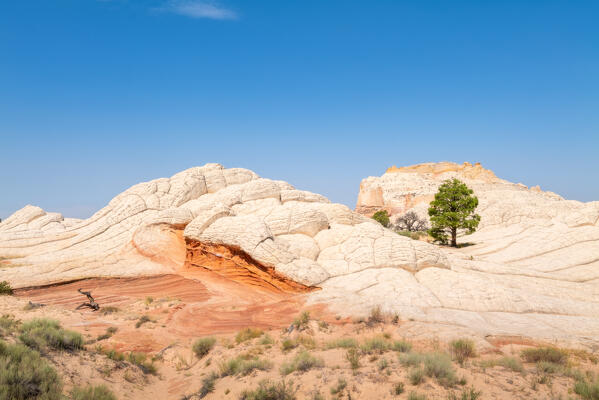 White Pocket, the colors of the desert; Vermillion Cliffs, Arizona, United States of America
