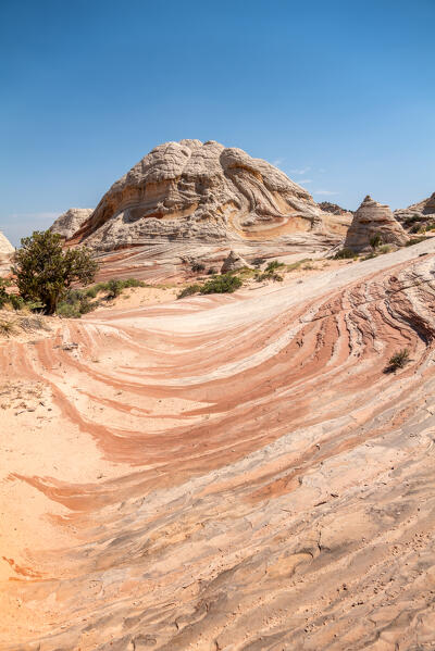 Waves, shapes, swirls and twists, the masterpiece of Mother Nature at the White Pocket; Vermillion Cliffs, Arizona, United States of America