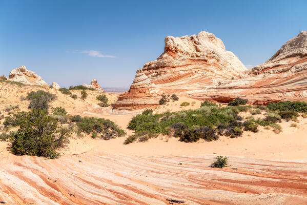 White Pocket, a magnificent palette with incredible series of shapes and whirls in the middle of the desert; Vermillion Cliffs, Arizona, United States of America