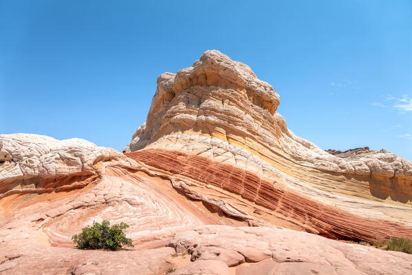 Pink, orange, red and yellow, not only a simple White Pocket; Vermillion Cliffs, Arizona, United States of America