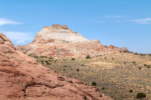 Once upon a time an ocean, then a forest, then the mud, now it's the White Pocket; Vermillion Cliffs, Arizona, United States of America
