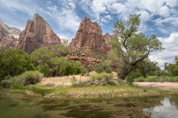 The Virgin river flowing at the feet of Court of the Patriarchs mountains at Zion National Park; Utah, United States of America