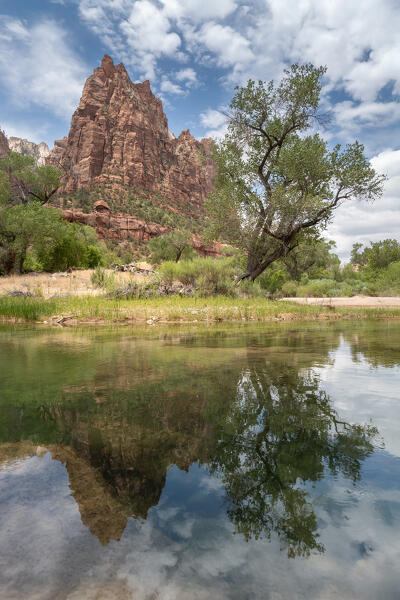 Court of the Patriarchs mountains reflecting in the calm waters of Virgin river at Zion National Park; Utah, United States of America