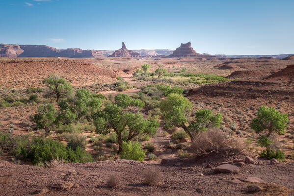 Life into the desert, a little green oasis just before the dry lands of Valley of the Gods; Utah, United States of America