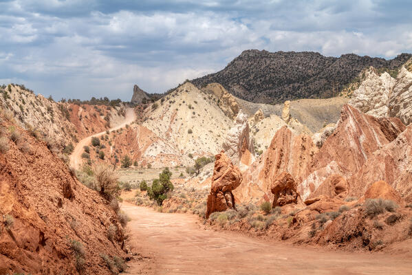 Cottonwood Canyon Road, the desert's palette: Utah, United States of America