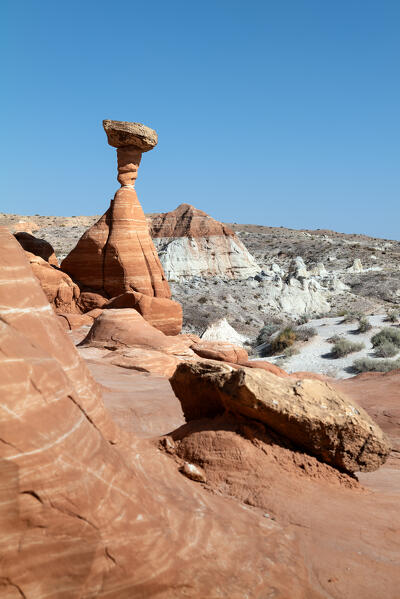 Toadstool Hoodoos, pillars in the wilderness: Utah, United States of America