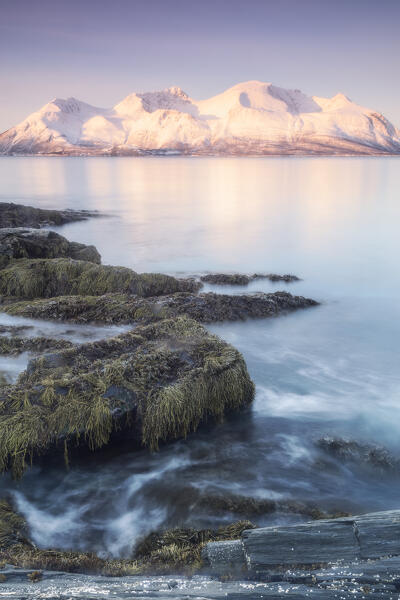 Lyngen Alps reflectin into the fjords in the Arctic Norway: Europe 