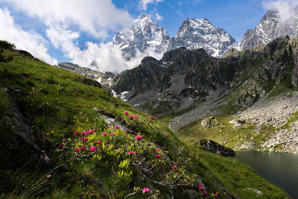 Italy, Piedmont, Pian del Re, Crissolo.
Monviso is the highest peak of Piedmont. On the right side there is Visolotto peak.