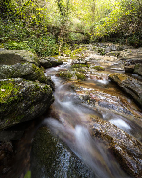Hidden streams a few minutes from the city, Riccò del Golfo, municipality of Riccò del Golfo, La Spezia province, Liguria district, Italy, Europe