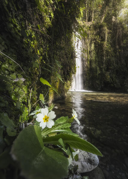 Spring at the Traaton waterfalls, in the Colombiera-Molicciara area, La Spezia province, Liguria district, Italy, Europe

