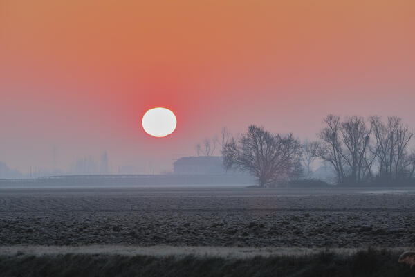 Plowed fields at sunrise, Saletta, Copparo municipality, Ferrara Province, Emilia Romagna, Italy