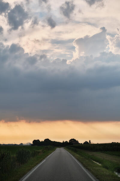 Road at sunset, Saletta, Copparo municipality, Ferrara Province, Emilia Romagna, Italy, Europe