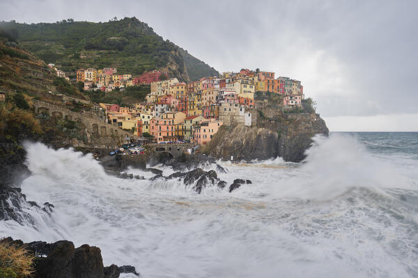 Manarola, Cinque Terre, La Spezia province, Liguria, Italy, Europe