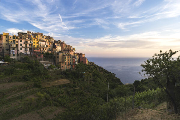 Corniglia, Cinque terre, La Spezia province, Liguria, Italy, Europe
