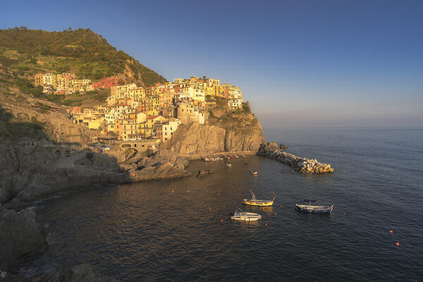Manarola, Cinque terre, La Spezia province, Liguria, Italy, Europe
