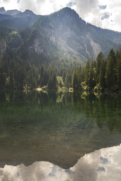 Lake tovel, Brenta Group, Ville d'Anaunia, Non valley, Trentino, Trento Province, Trentino-Alto Adige, Italy, Europe