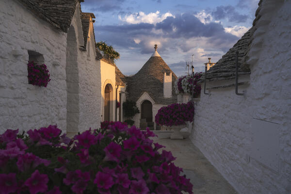 Flowers and Trulli in Alberobello. Alberobello, Bari province, Apulia, Italy, Europe