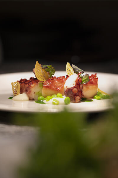 Bbq octopus, peas, crescenza and wild garlic