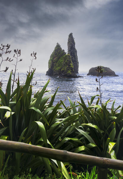 Rock formation and lush vegetation in Alagoa bay, Santa Cruz das Flores municipality, Flores Island (Ilha das Flores), Azores archipelago, Portugal, Europe