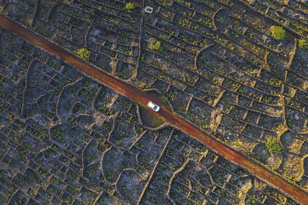 Aerial view of dirt road and car among vineyards at sunset, Madalena, Madalena municipality, Pico island (Ilha do Pico), Azores archipelago, Portugal, Europe