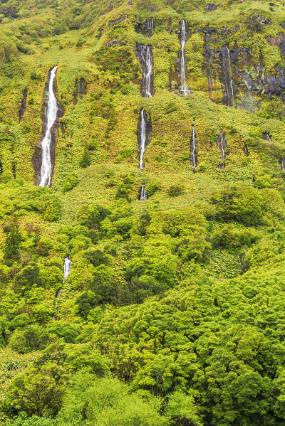 Detail of the scenic waterfall of Ribeira do Ferreiro, Poco Ribeira do Ferreiro (Alagoinha), Lajes das Flores municipality, Flores Island (Ilha das Flores), Azores archipelago, Portugal, Europe