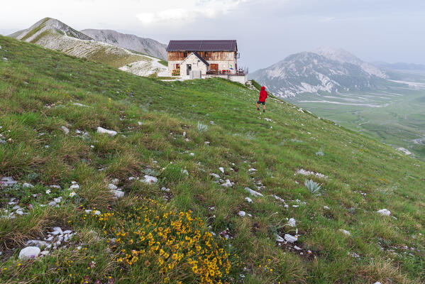 Hiker among green field observs the Duca degli Abruzzi mountain hut, Campo Imperatore, Gran Sasso and Laga Mountains National Park, L'Aquila province, Abruzzo, Central Italy, Italy, Europe