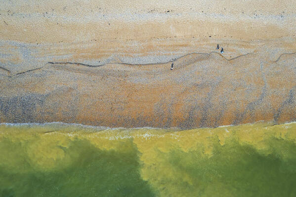 Overhead view of people standing on a shingle beach and turquoise water, Seven Sisters Country Park, South Downs National Park, Sussex, England, United Kingdom, Europe