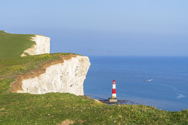 The white cliffs of East Sussex and Beachy Head Lighthouse, Seven Sisters Country Park, South Downs National Park, Sussex, England, United Kingdom, Europe