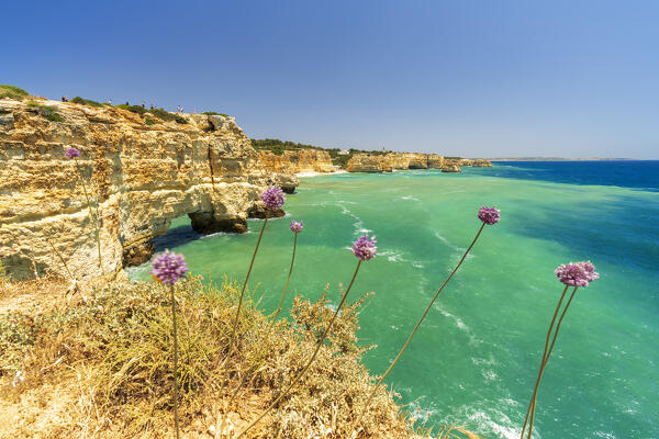 Limestone cliffs washed by emerald waters, Carvoeiro, Lagoa, Faro district, Algarve, Atlantic Ocean, Portugal, Europe