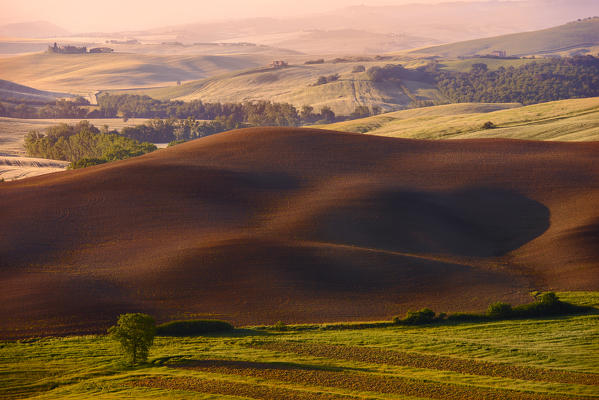 Italy, Tuscany, Siena District, Orcia Valley - fallow field