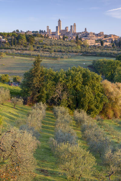 San Gimignano at sunrise. Italy, Tuscany, Siena district