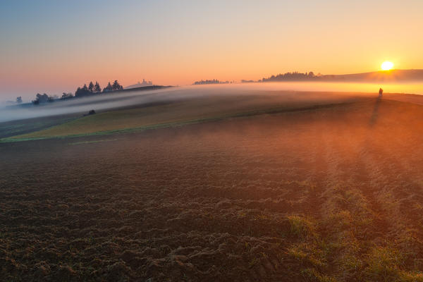 Alexandria hills, Piedmont, Italy. A plowed field with a pretty fog above it, a man walking in the path.